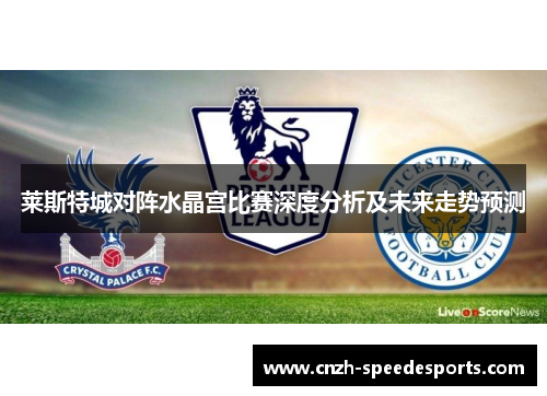 莱斯特城对阵水晶宫比赛深度分析及未来走势预测